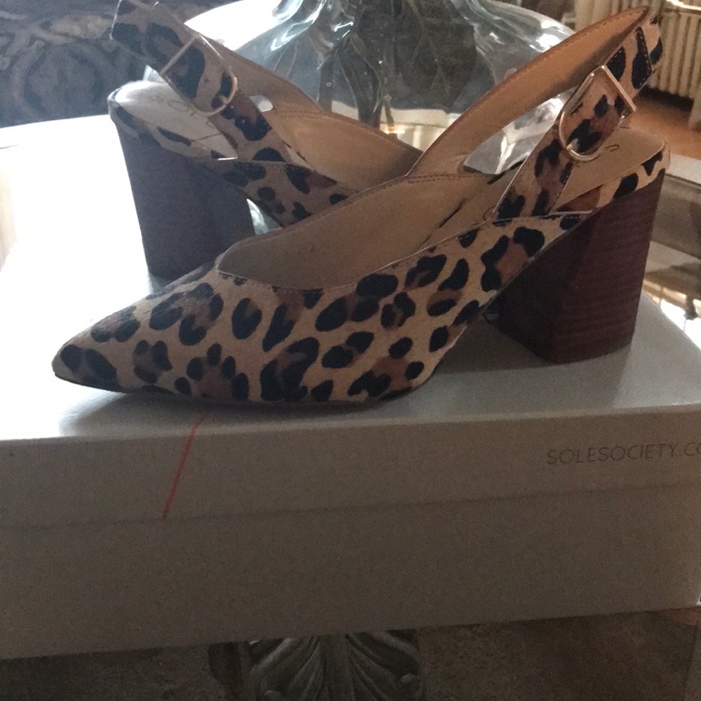 Women’s shoes